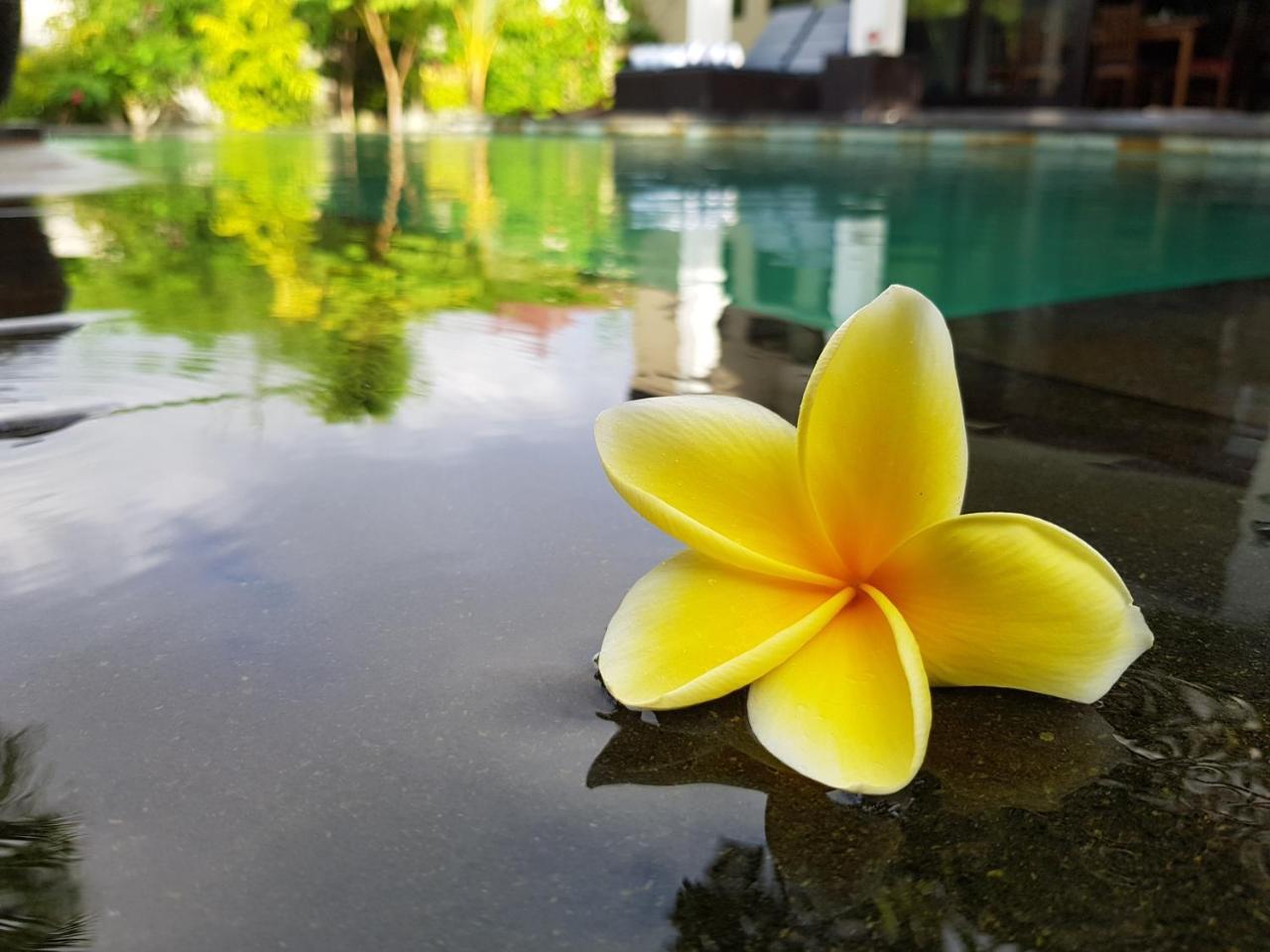 Villa Horizon Nusa Dua Nusa Dua  Extérieur photo